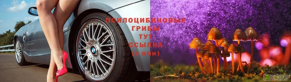ECSTASY Алексин