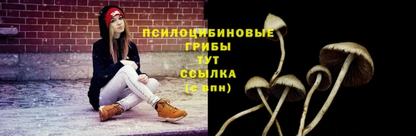 индика Алзамай