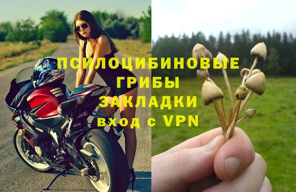 индика Алзамай