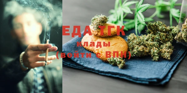 индика Алзамай