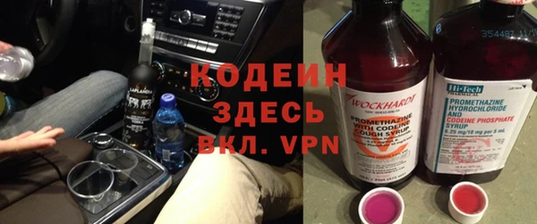 индика Алзамай