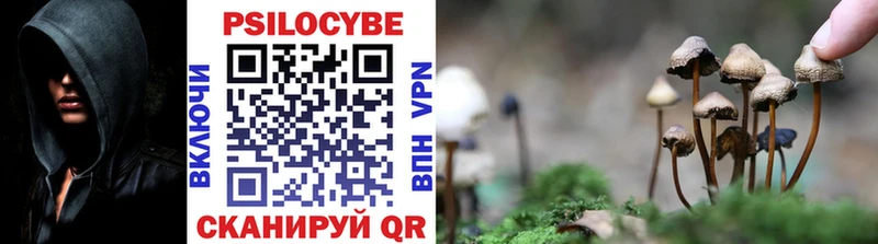 Галлюциногенные грибы Magic Shrooms  Нытва 